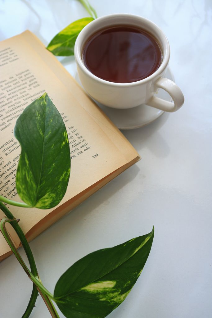 Open book with a tea cup and leaves on a white background, creating a cozy scene.